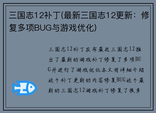 三国志12补丁(最新三国志12更新：修复多项BUG与游戏优化)